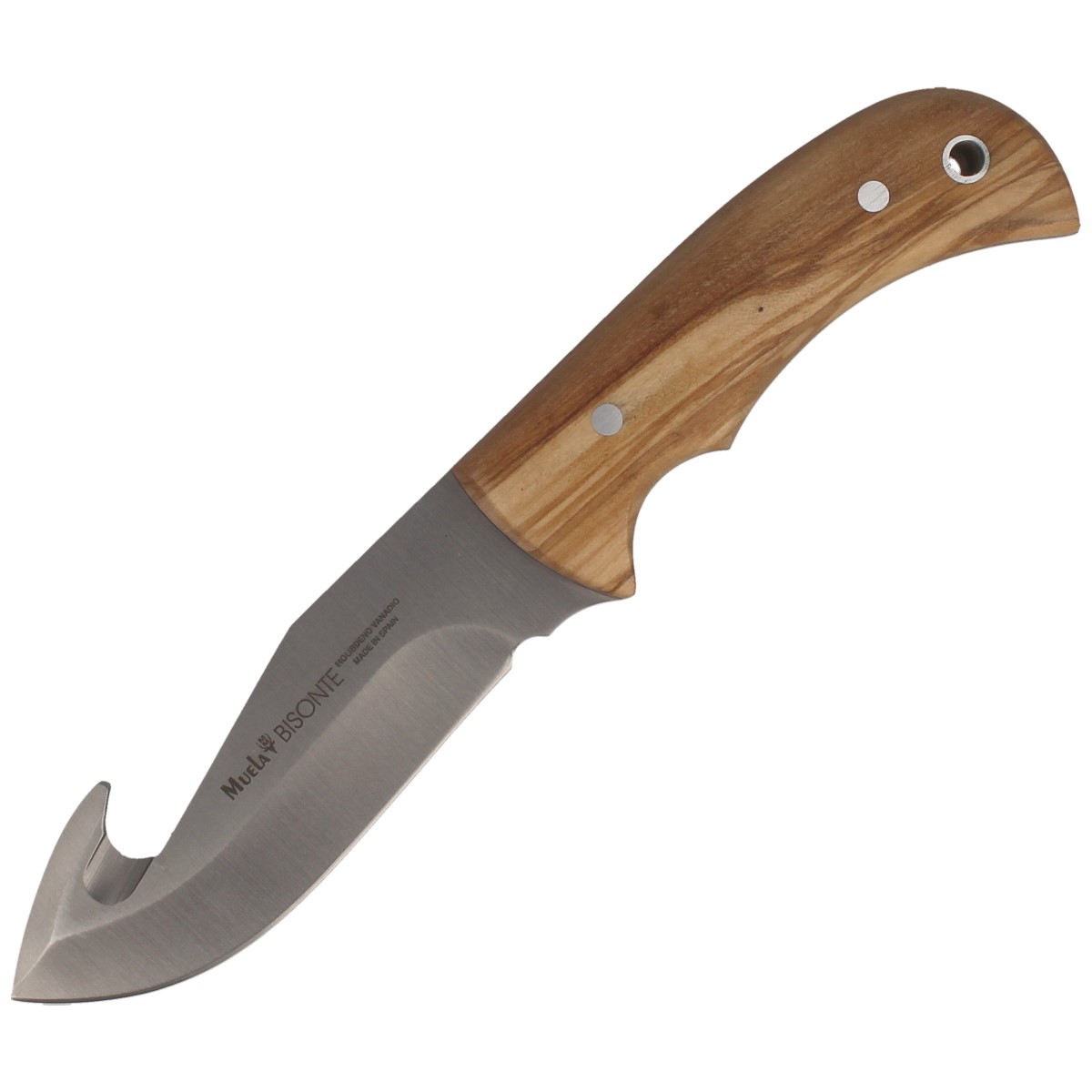 Nóż Muela Skinner Olive Wood 115 mm (BISONTE-11.OL)