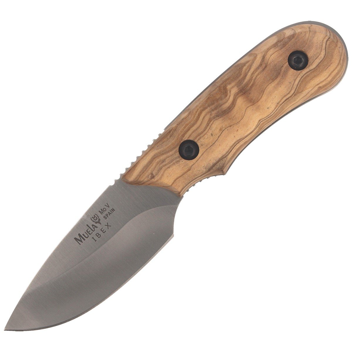 Nóż Muela Skinner Olive Wood 75 mm (IBEX-8.OL)