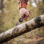 WOXNA Ljusnan 250 – Piła Bushcraftowa Premium 250 mm + Skórzana Pochwa | Stal Nierdzewna - obrazek 9